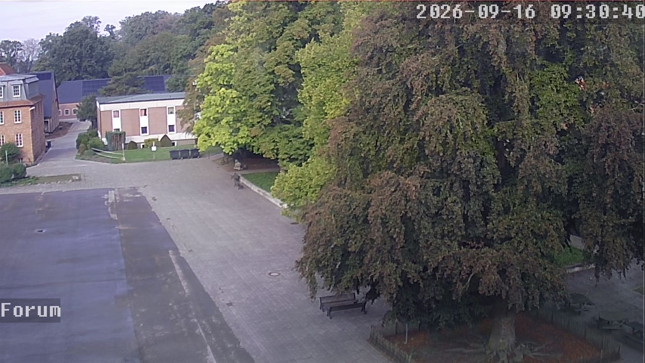 Webcam Forum 09:30