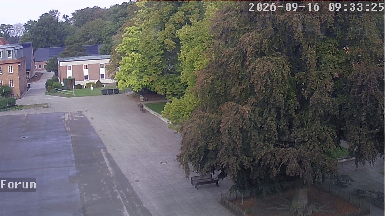 Webcam Forum 09:33