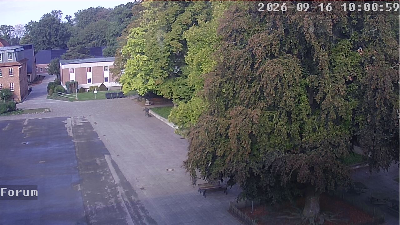Webcam Forum 10:01
