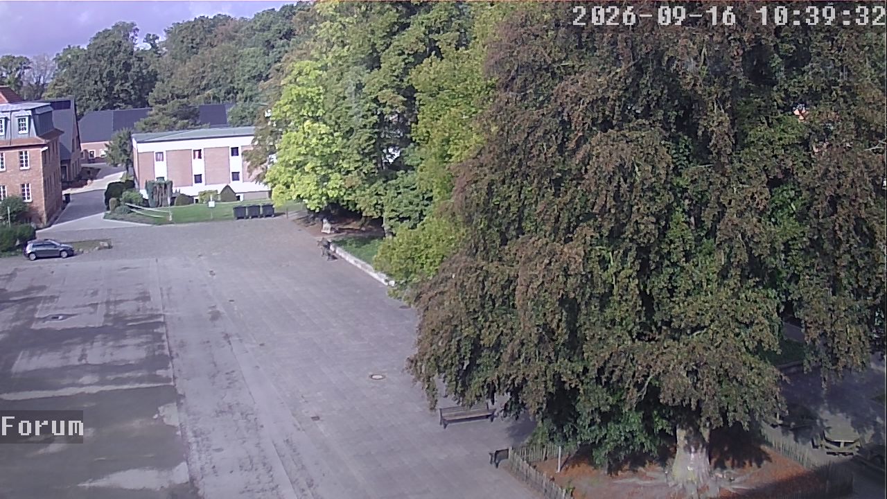 Webcam Forum 10:39