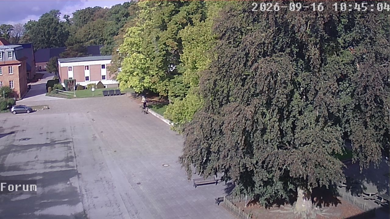Webcam Forum 10:45