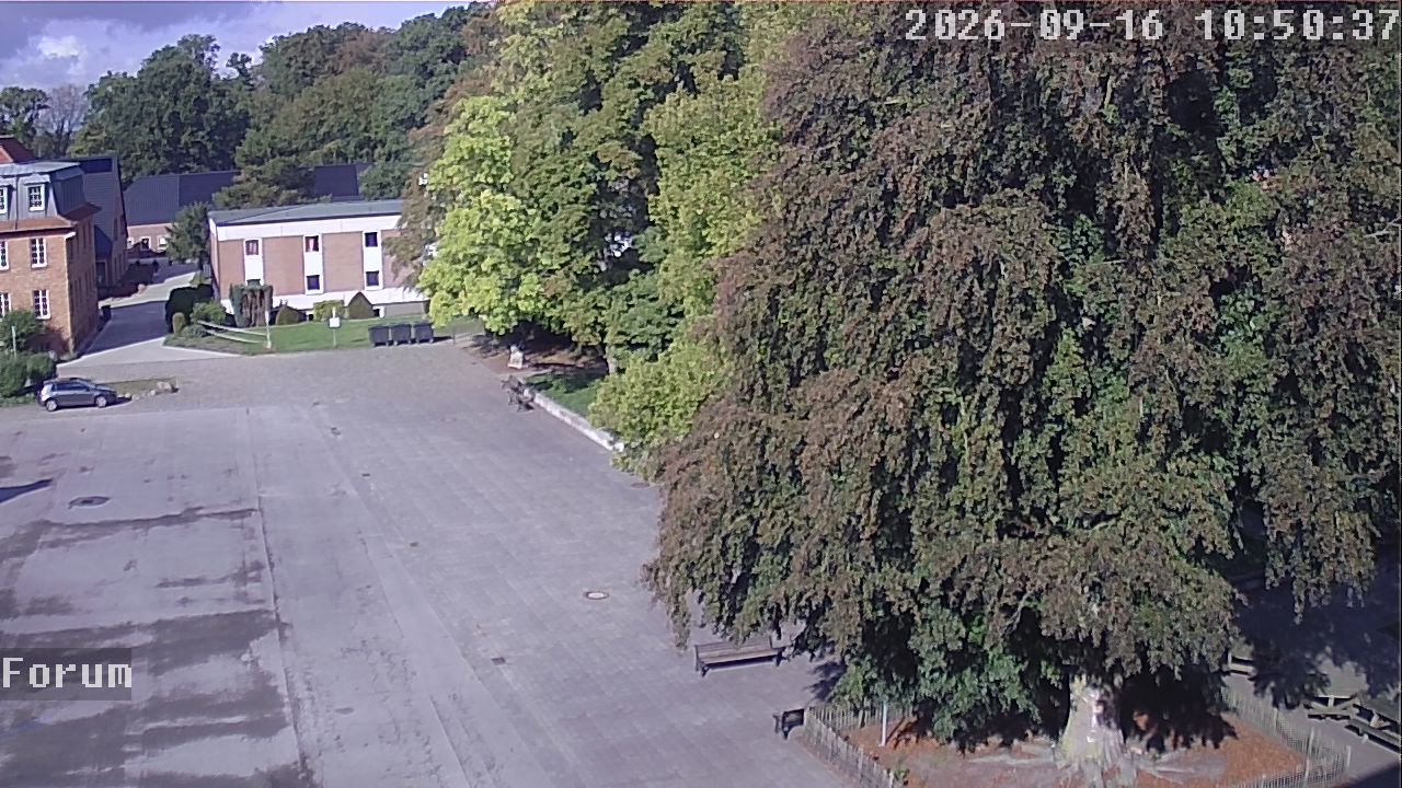 Webcam Forum 10:50