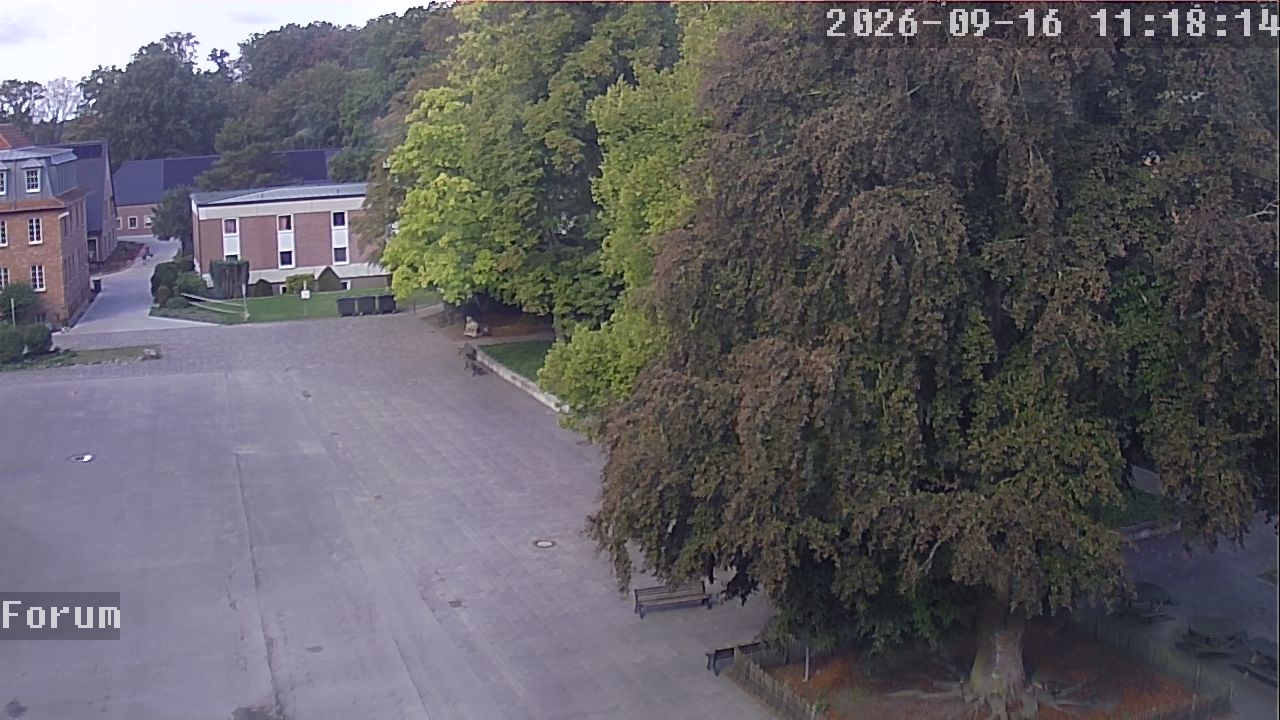 Webcam Forum 11:18