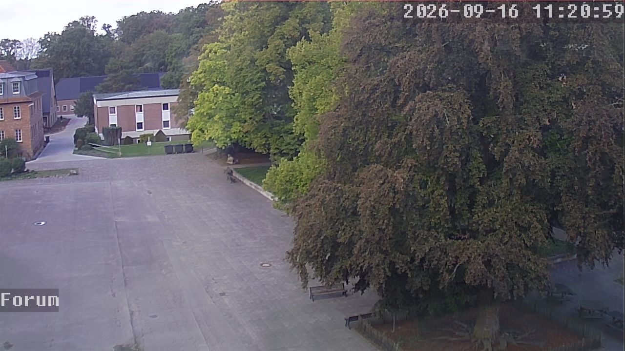 Webcam Forum 11:21