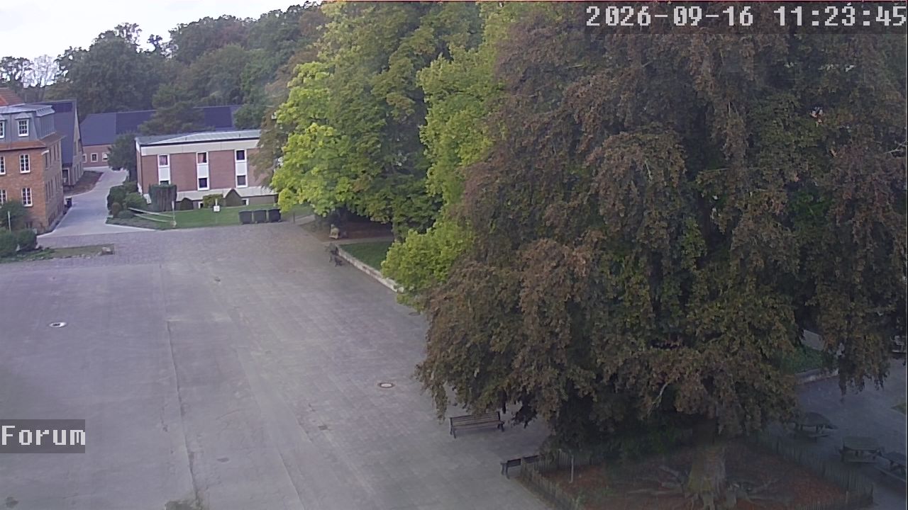 Webcam Forum 11:23