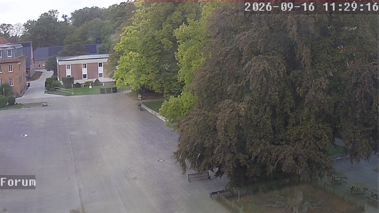 Webcam Forum 11:29