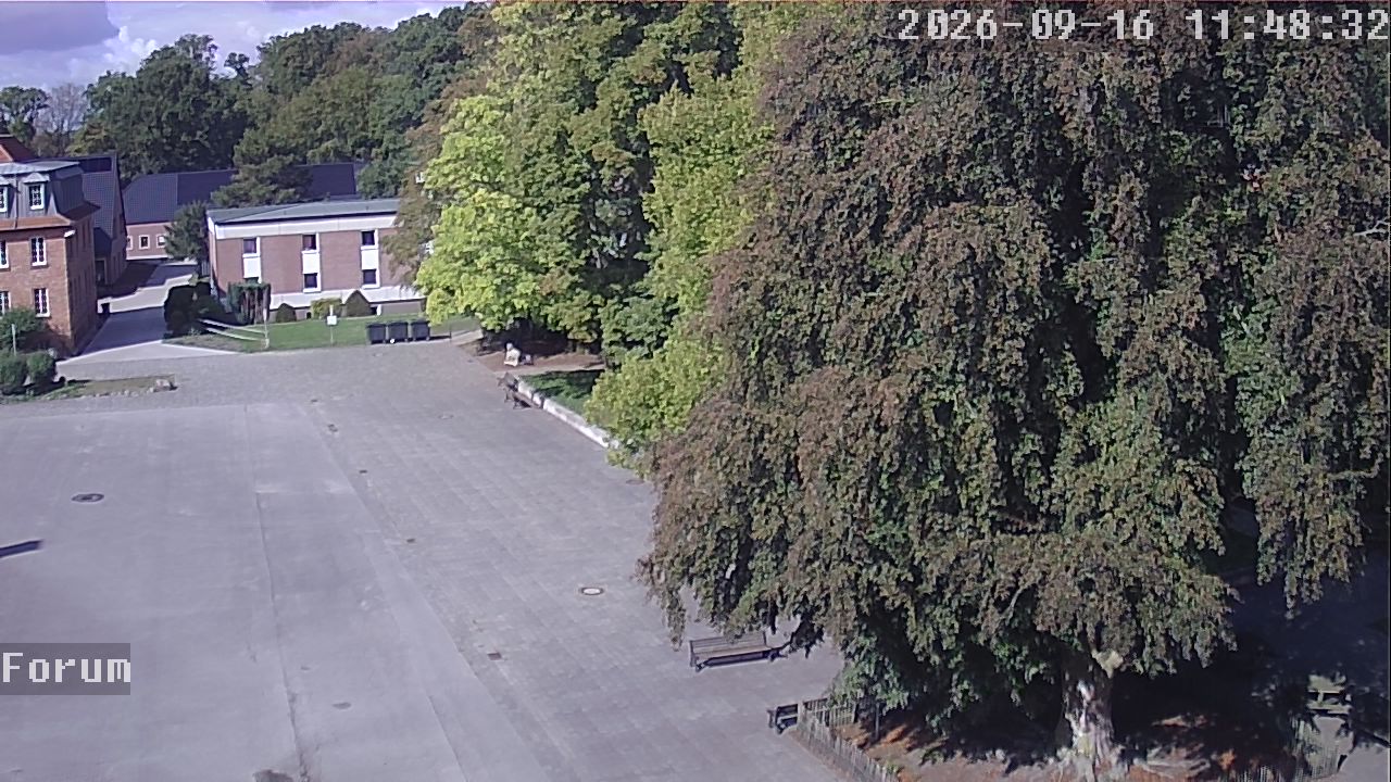 Webcam Forum 11:48