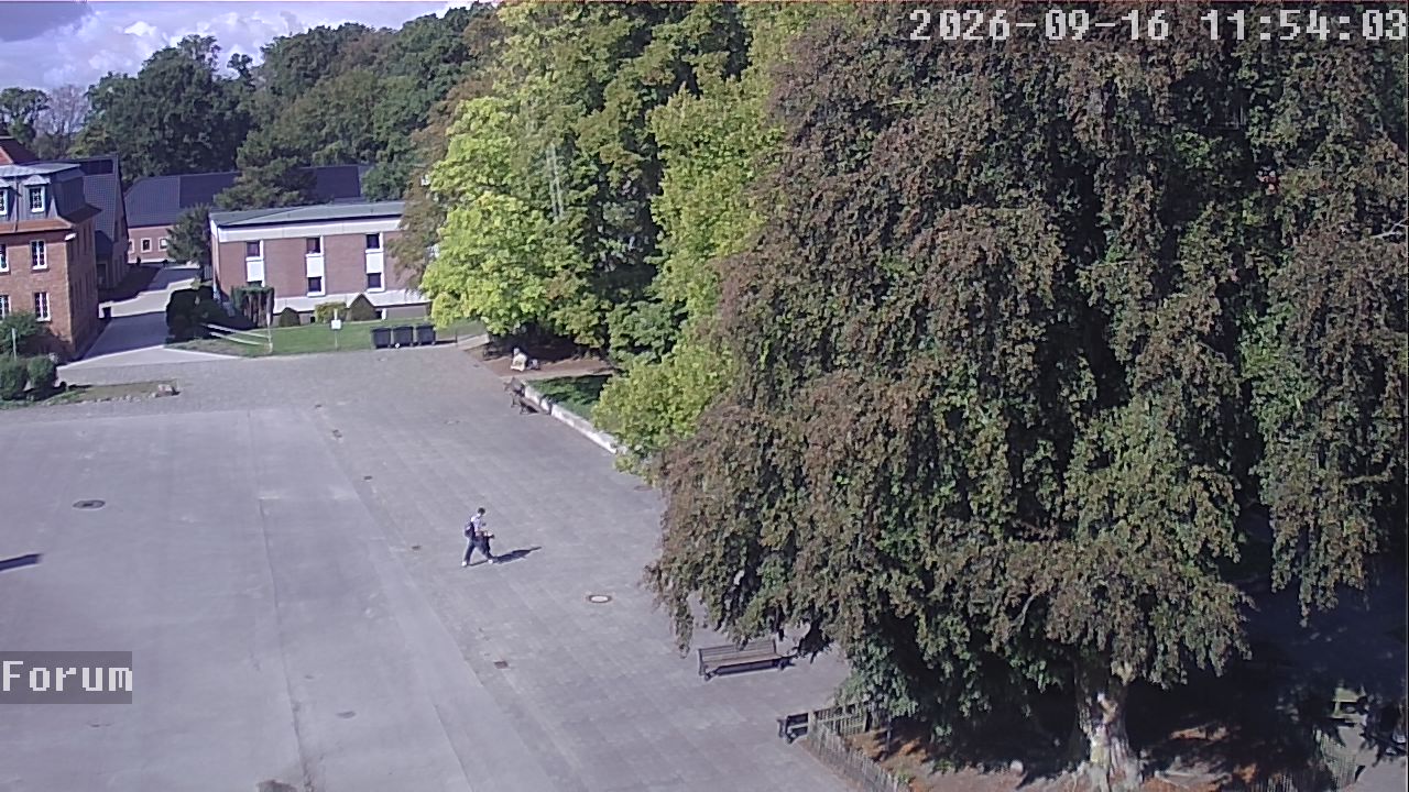 Webcam Forum 11:54