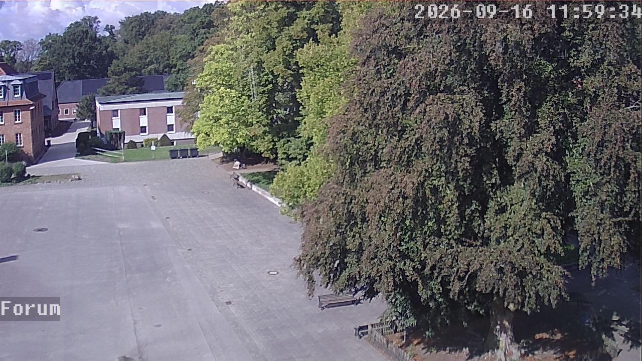 Webcam Forum 11:59