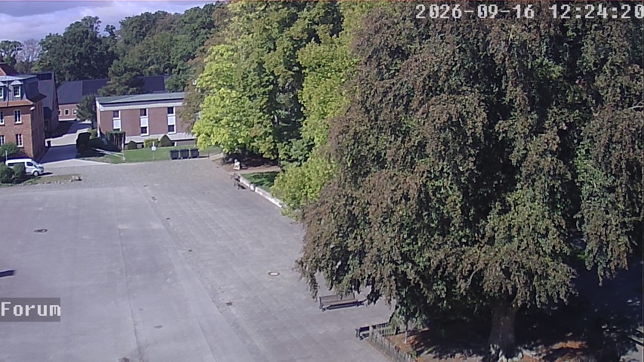 Webcam Forum 12:24
