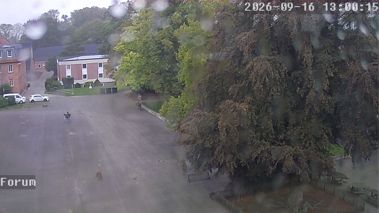 Webcam Forum 13:00