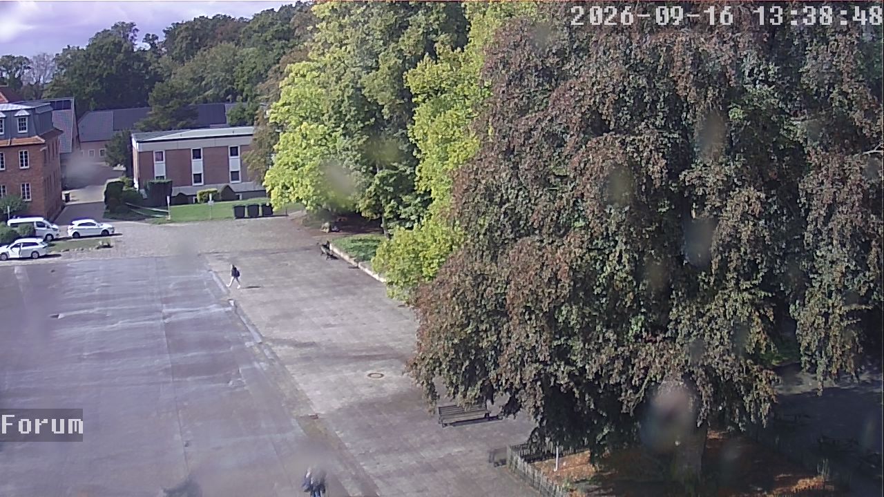 Webcam Forum 13:38