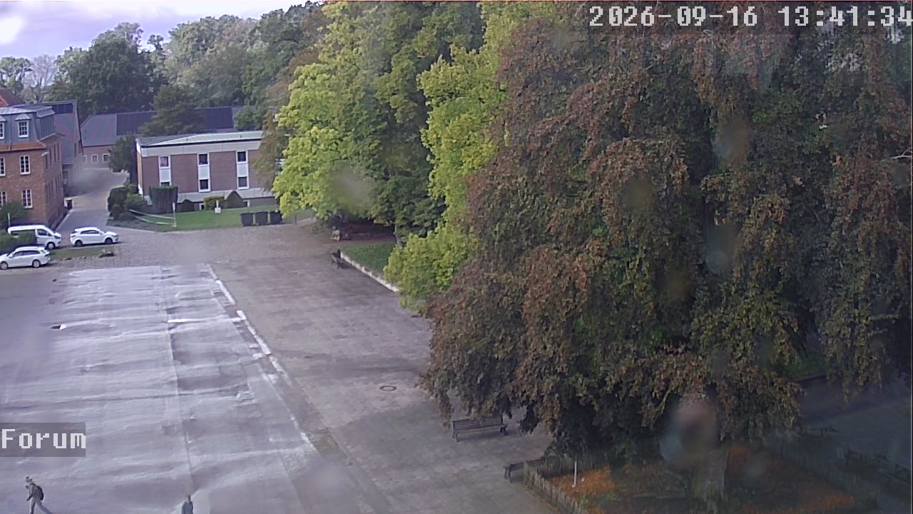 Webcam Forum 13:41