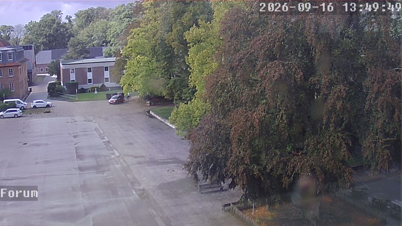 Webcam Forum 13:49