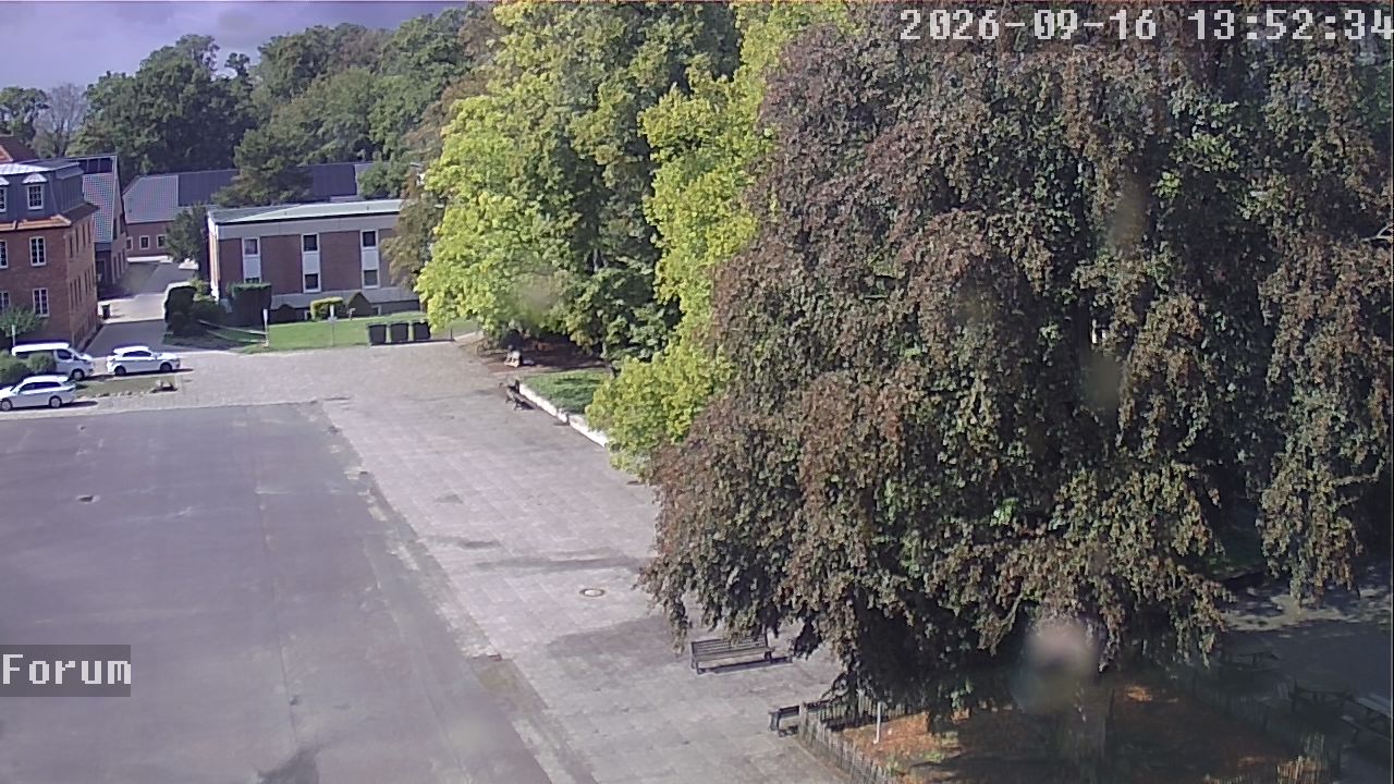 Webcam Forum 13:52