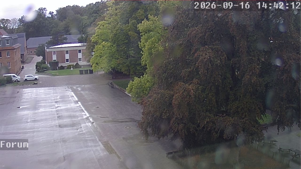 Webcam Forum 14:42