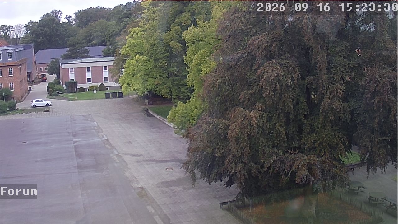 Webcam Forum 15:23