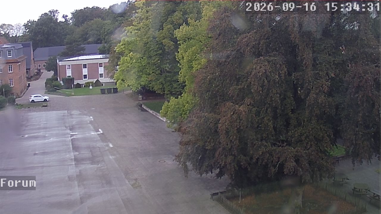 Webcam Forum 15:34