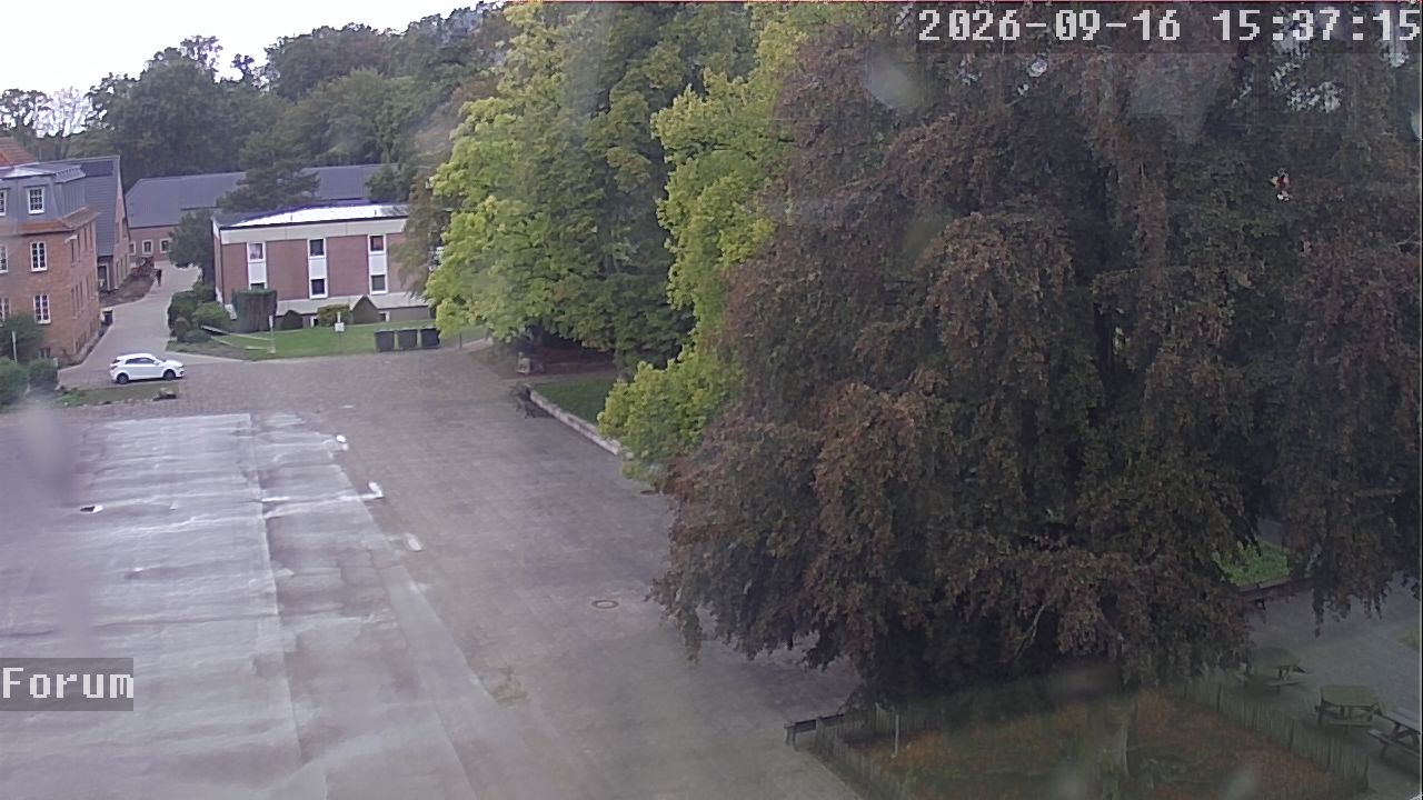 Webcam Forum 15:37
