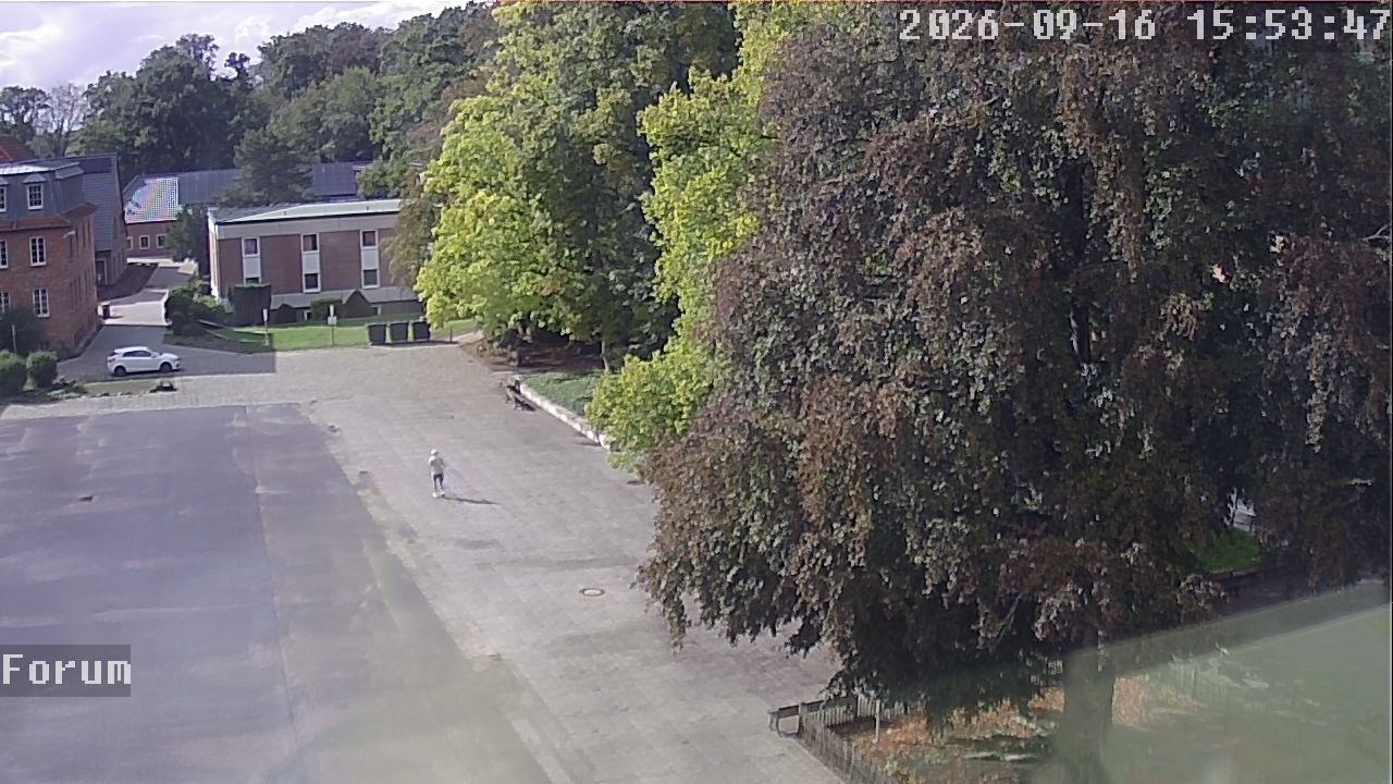 Webcam Forum 15:53