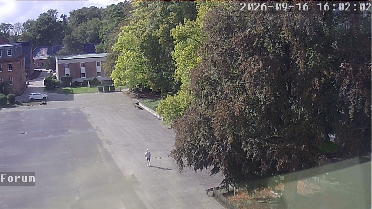 Webcam Forum 16:02