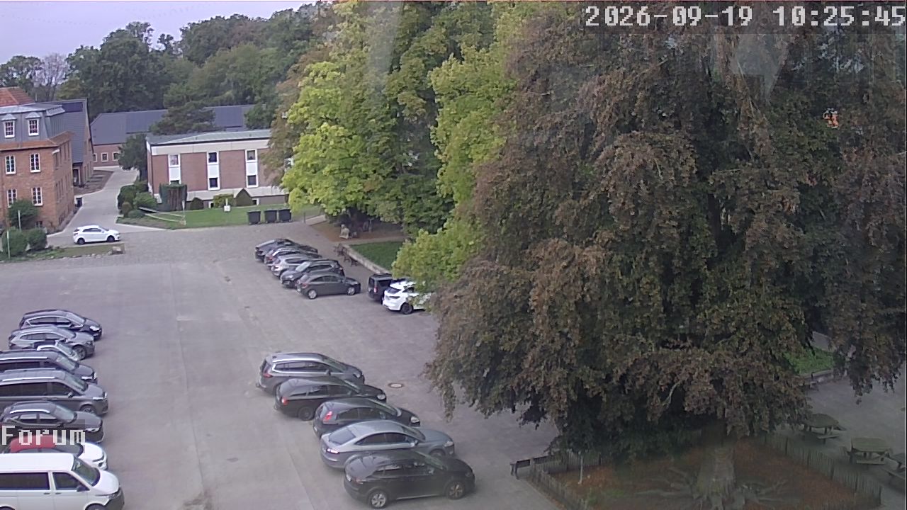 Webcam Forum 10:25