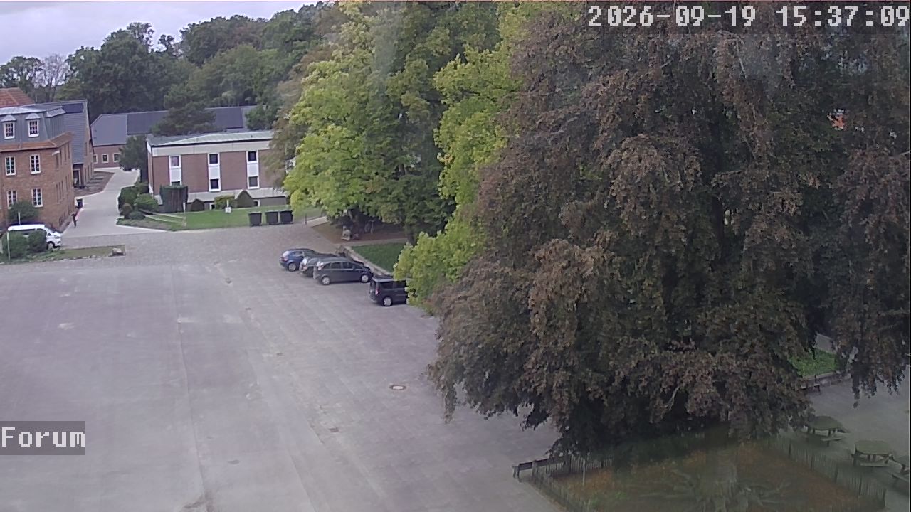Webcam Forum 15:37