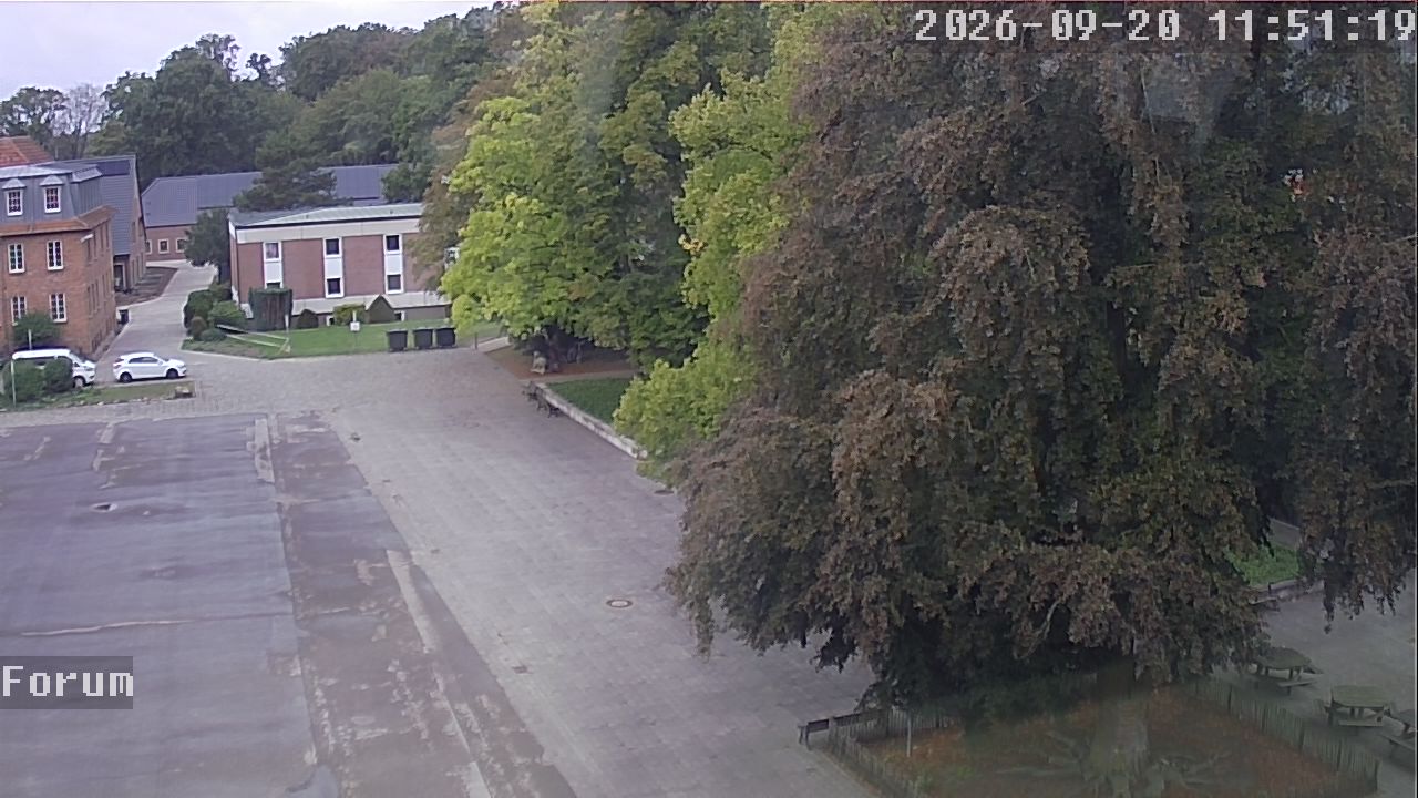Webcam Forum 11:51