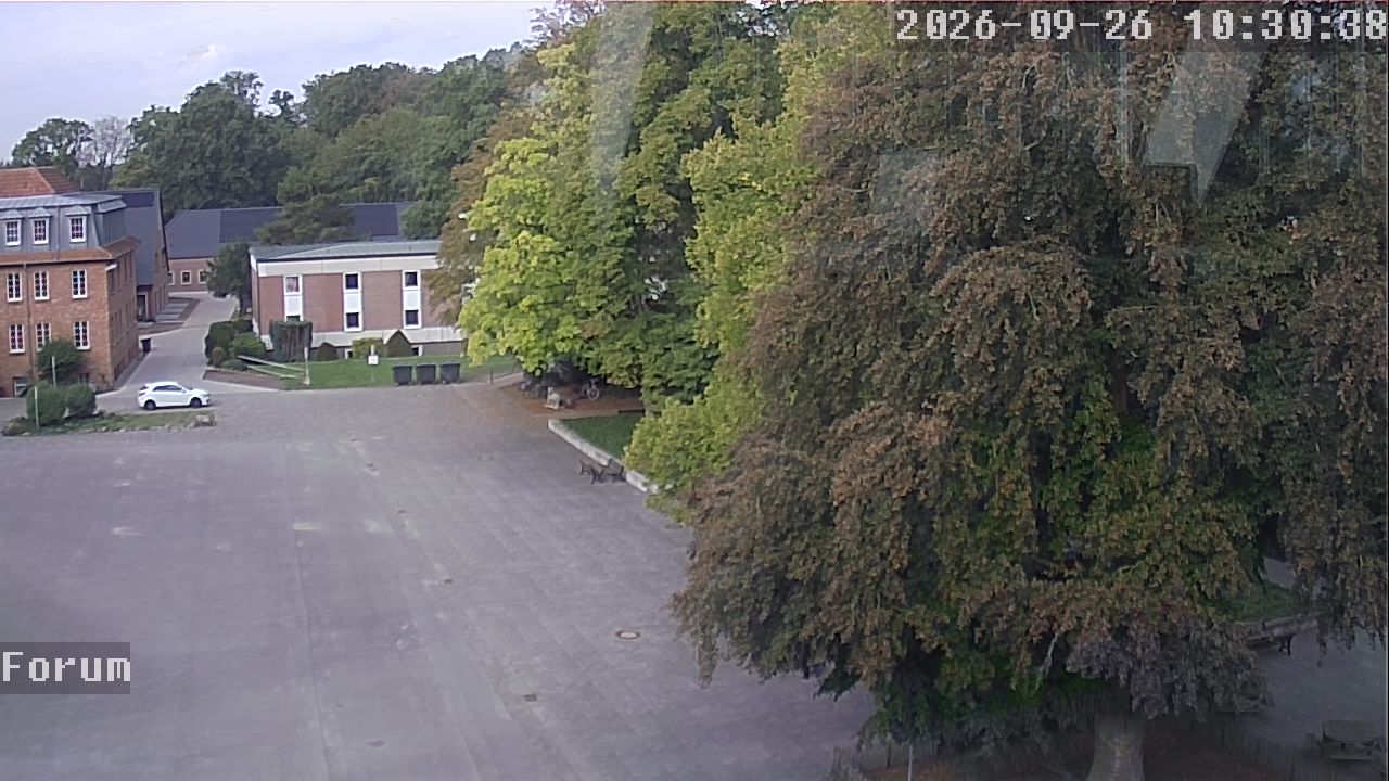 Webcam Forum 10:30