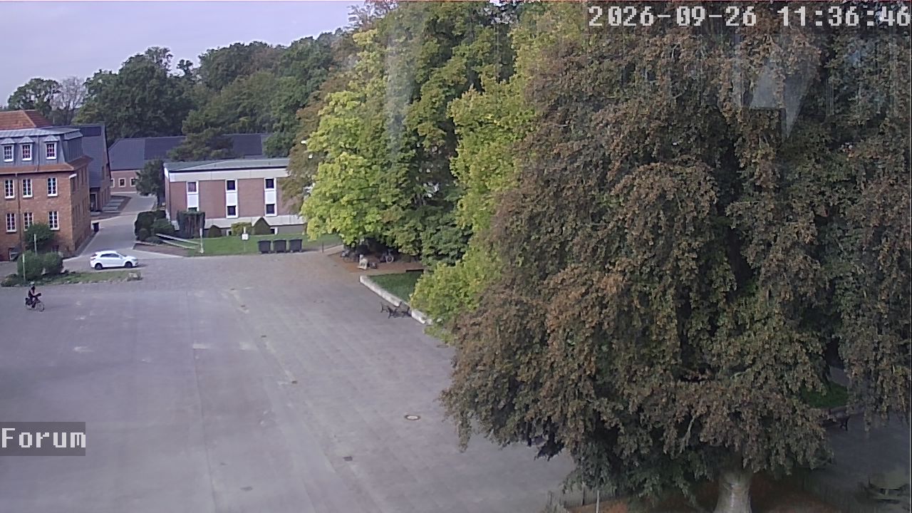 Webcam Forum 11:36