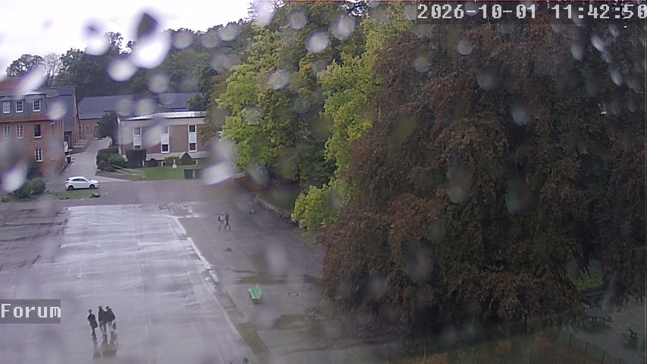 Webcam Forum 11:42