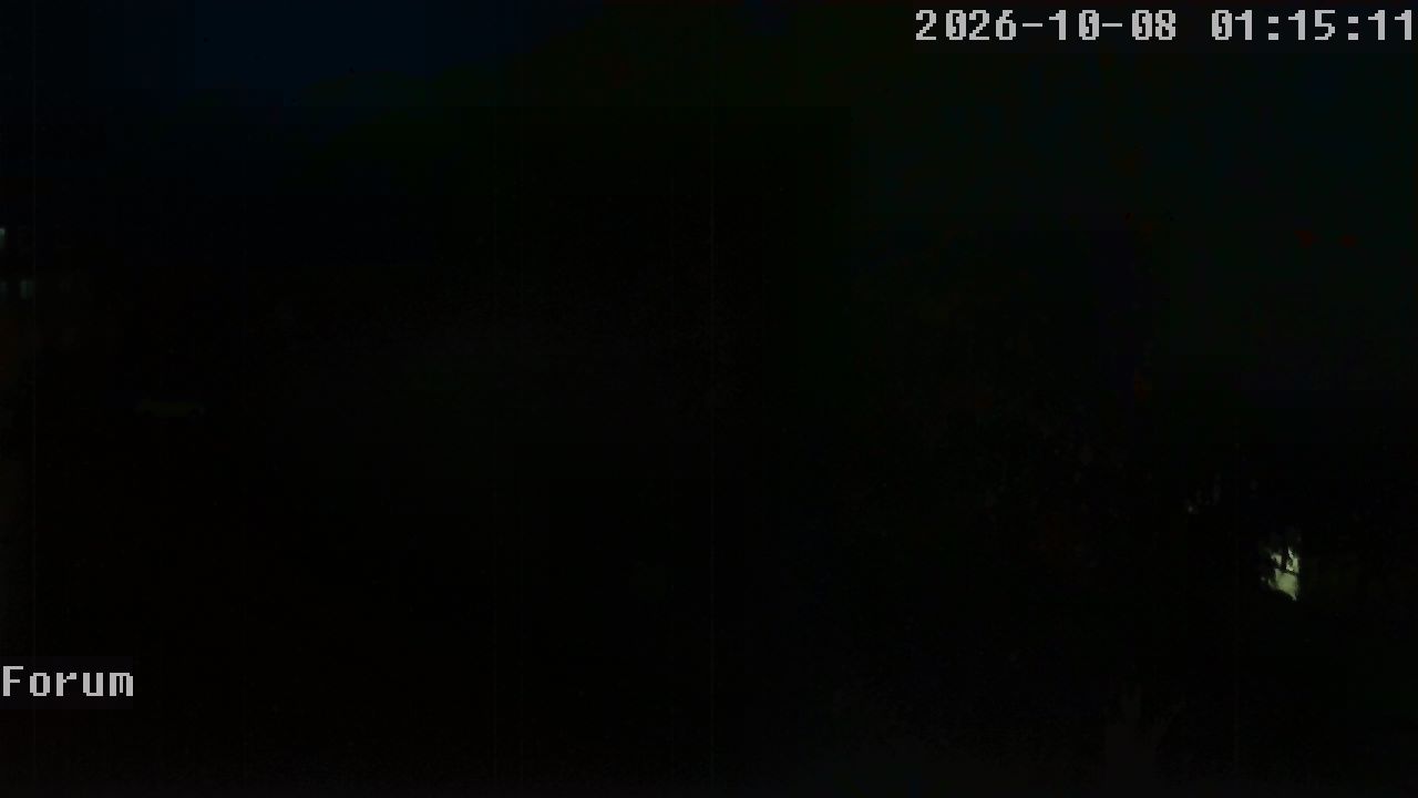Webcam Forum 01:15