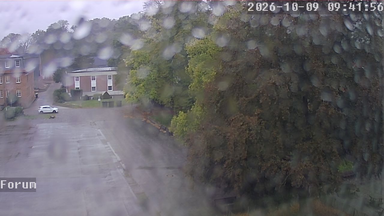 Webcam Forum 09:41