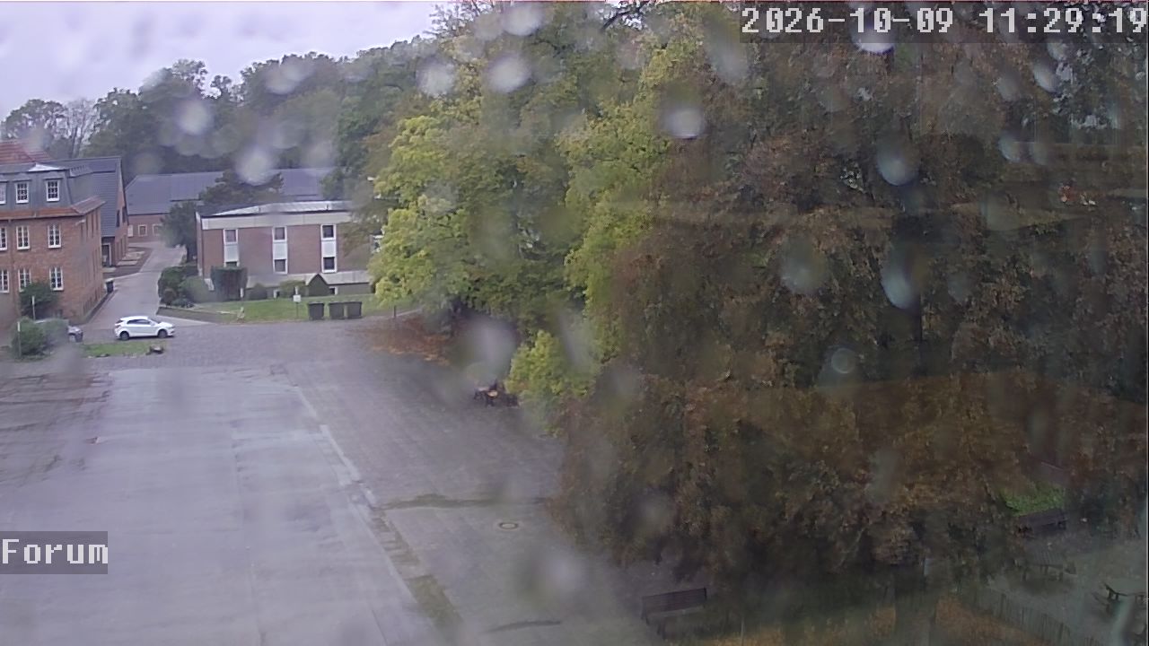 Webcam Forum 11:29
