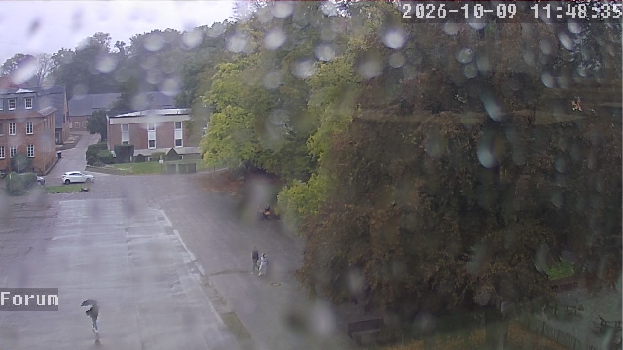 Webcam Forum 11:48