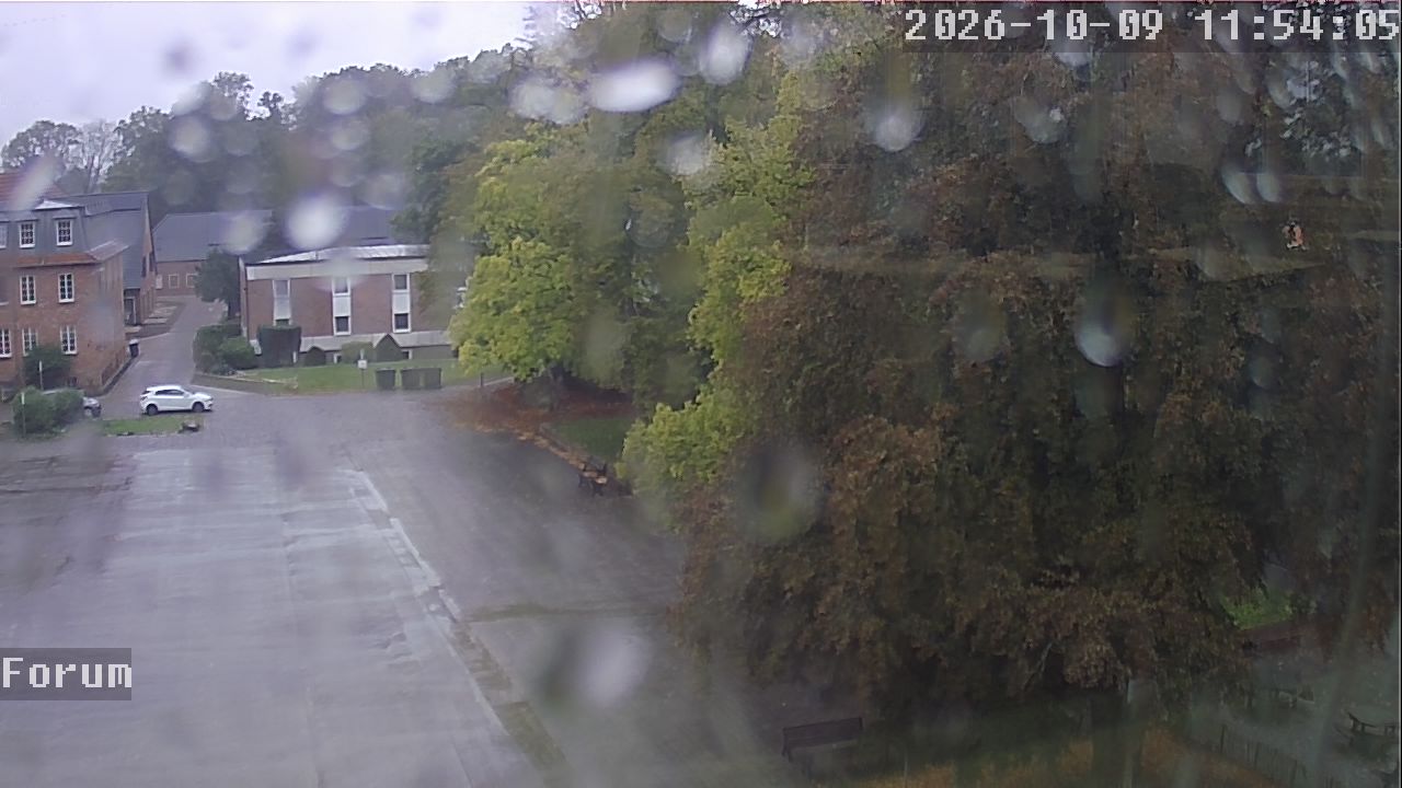 Webcam Forum 11:54