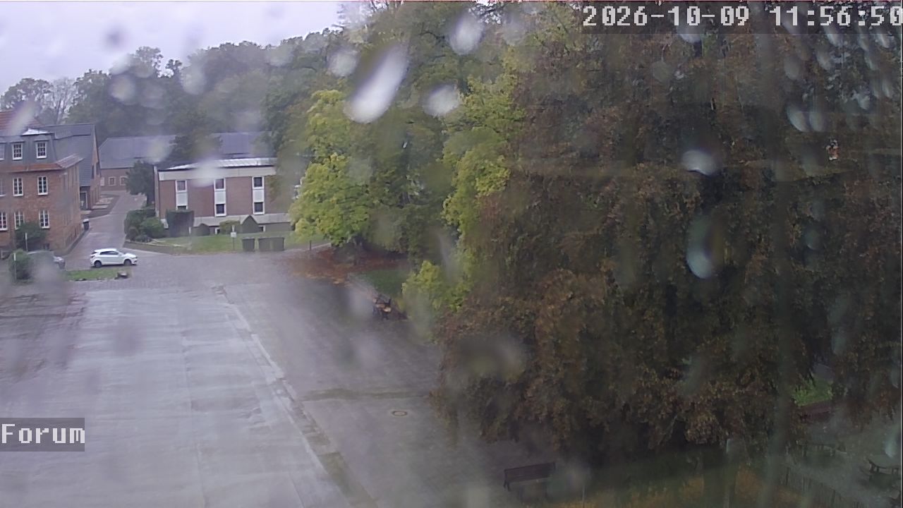 Webcam Forum 11:56