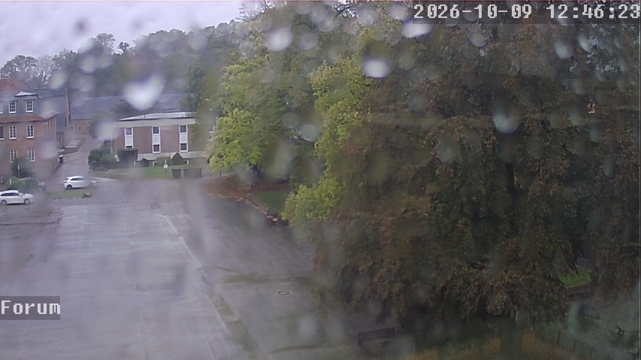 Webcam Forum 12:46