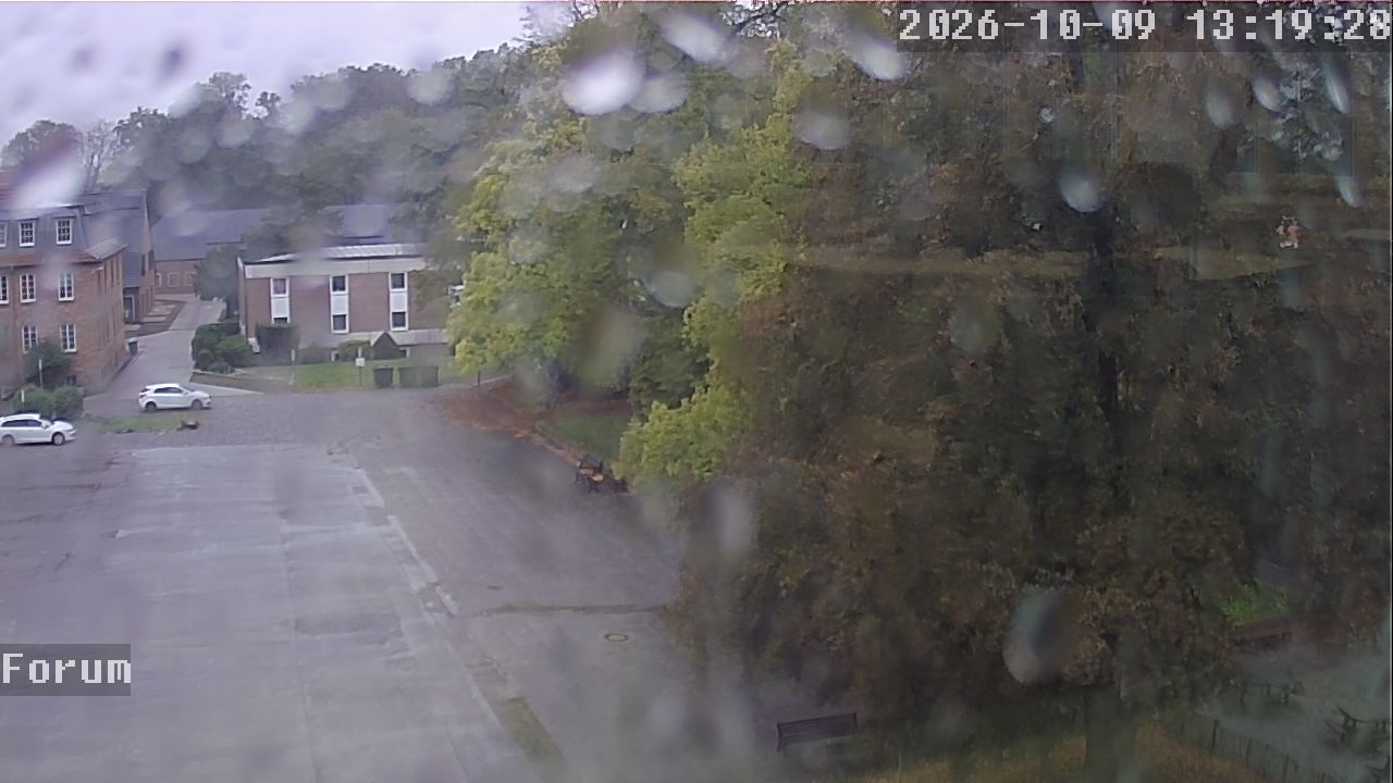 Webcam Forum 13:19