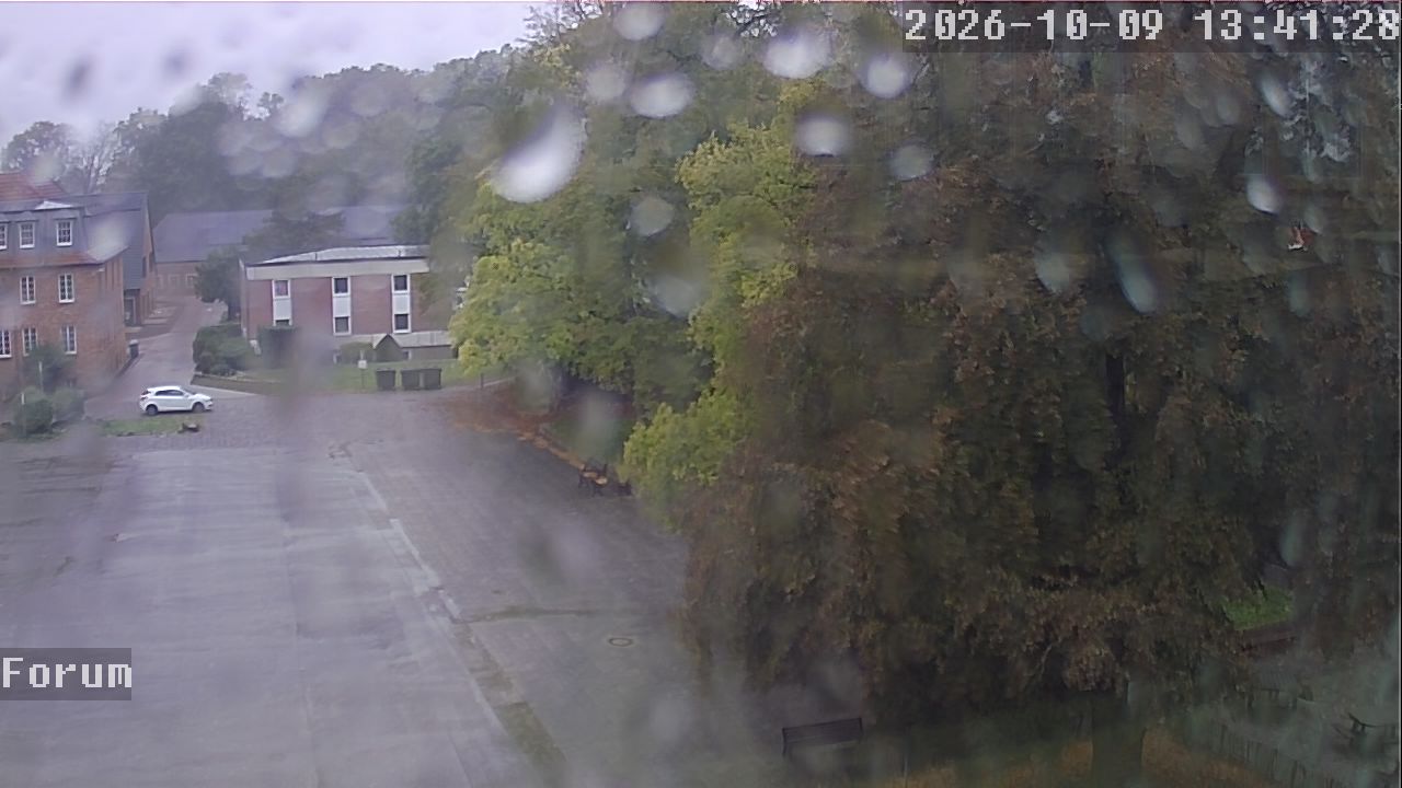 Webcam Forum 13:41