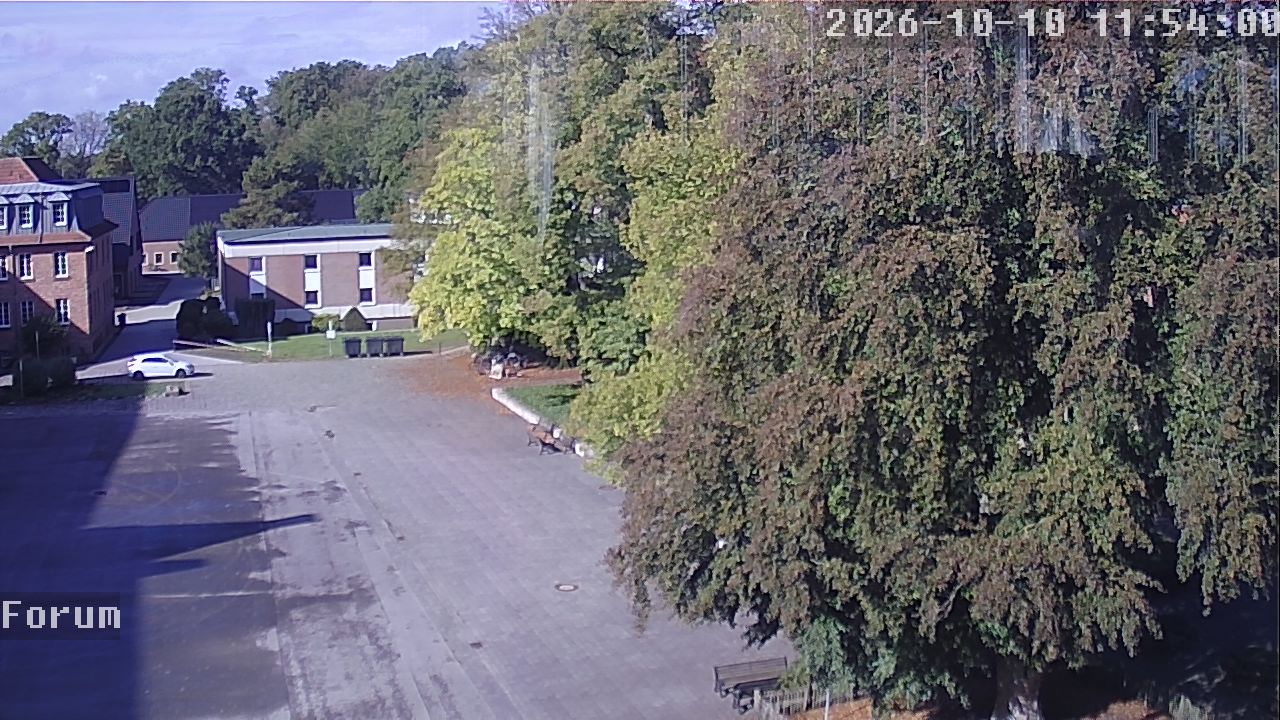 Webcam Forum 11:54