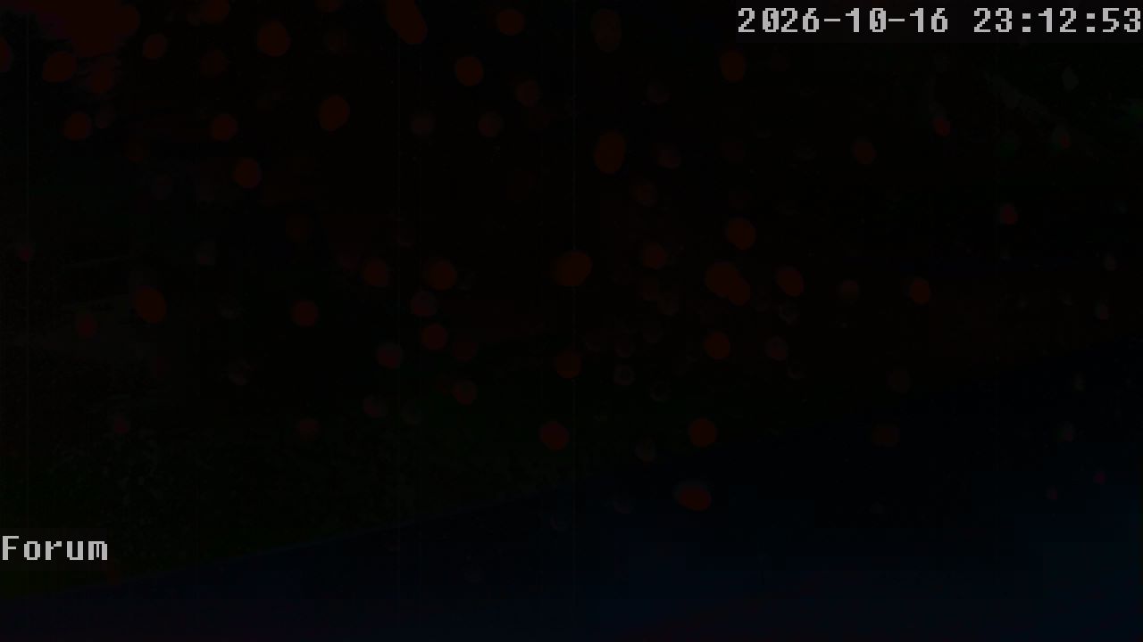 Webcam Forum 23:12