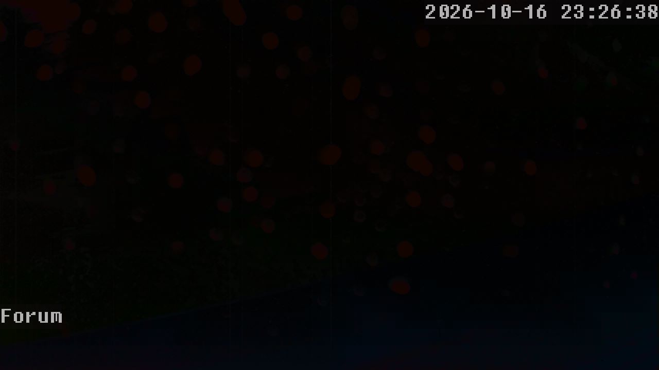 Webcam Forum 23:26