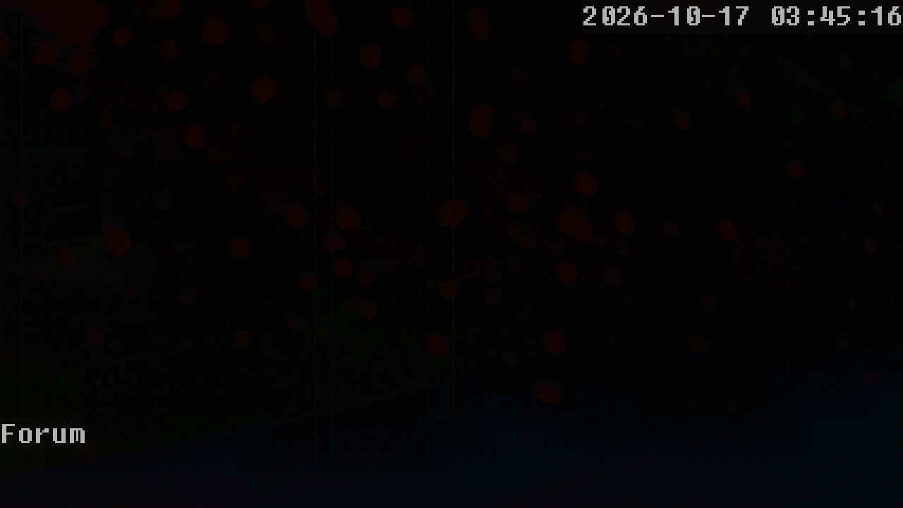 Webcam Forum 03:45