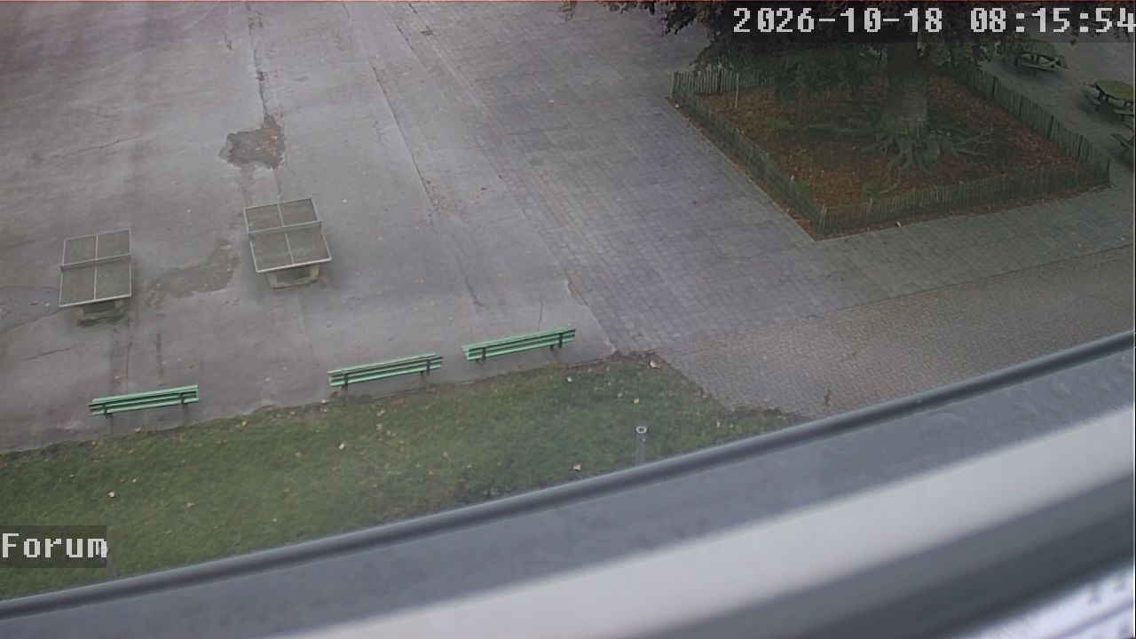 Webcam Forum 08:15