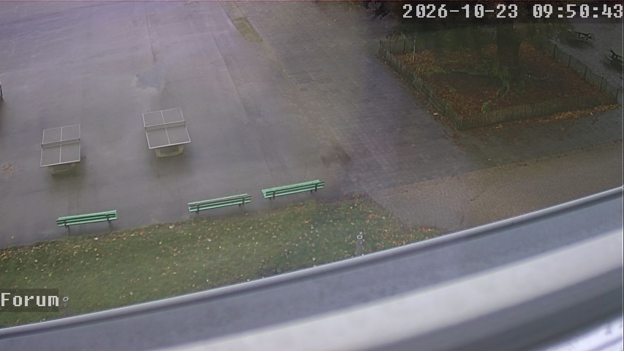 Webcam Forum 09:50