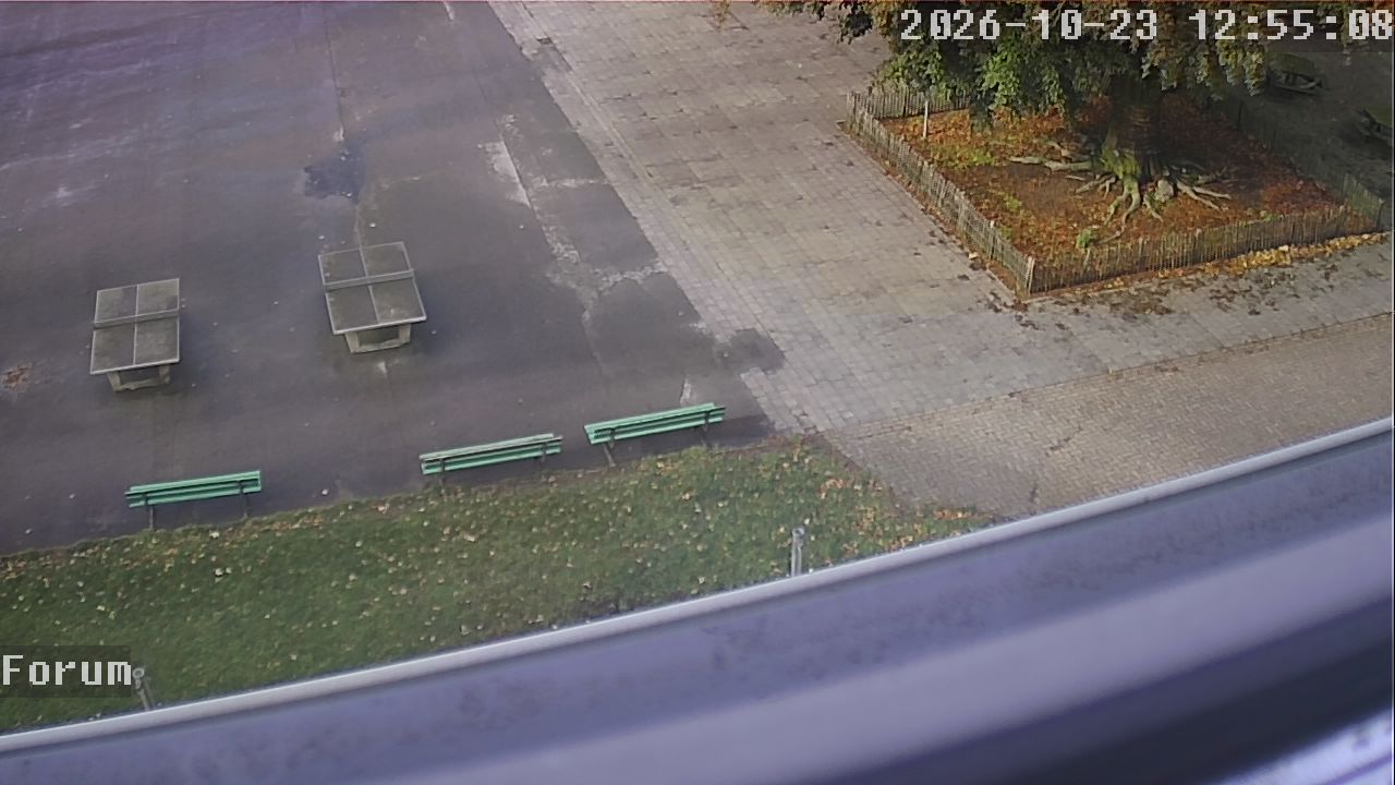 Webcam Forum 12:55