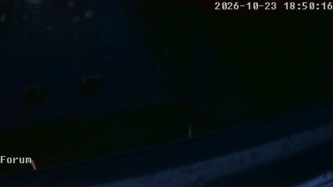 Webcam Forum 18:50