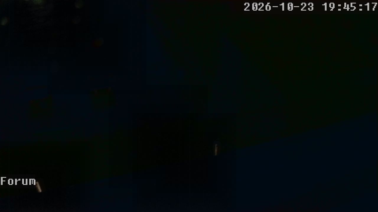 Webcam Forum 19:45