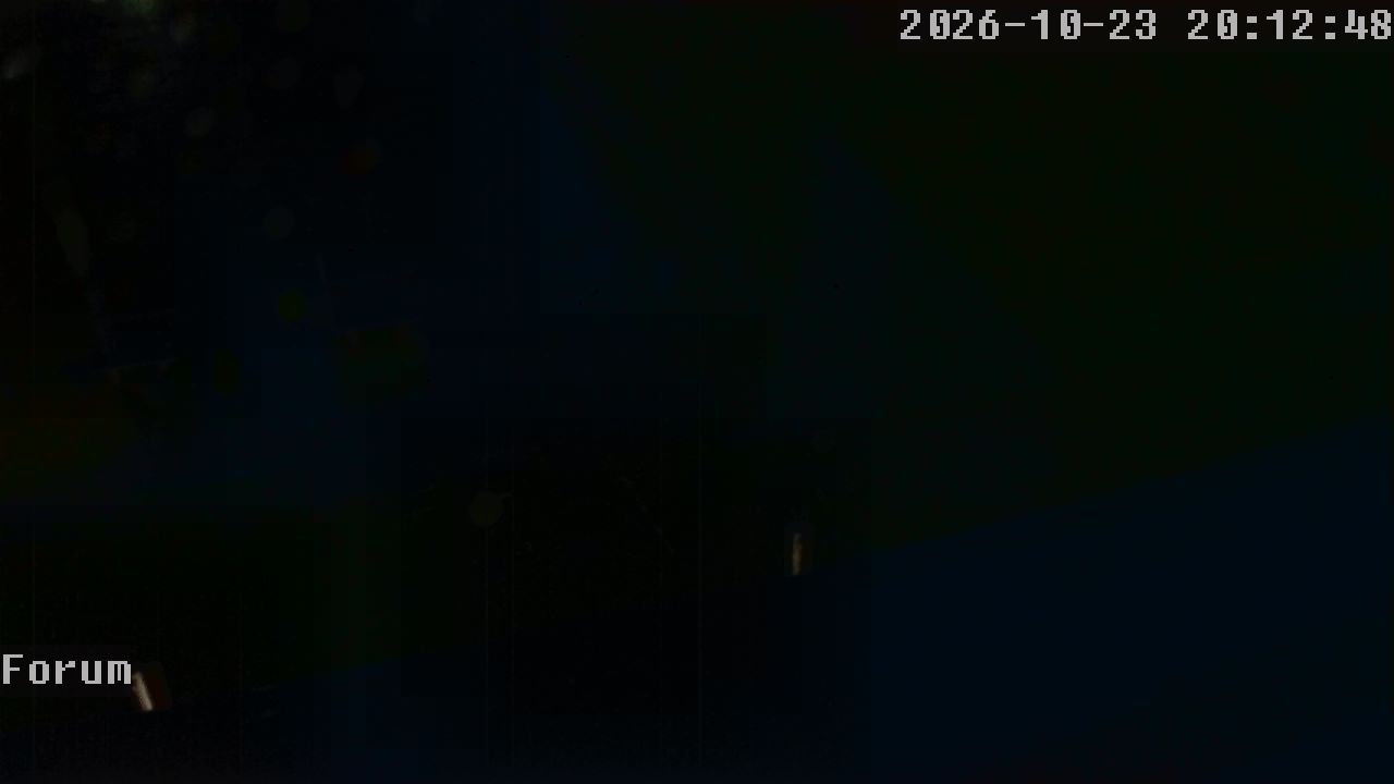 Webcam Forum 20:12